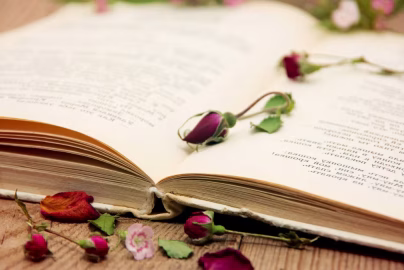 Real-Life Love Stories